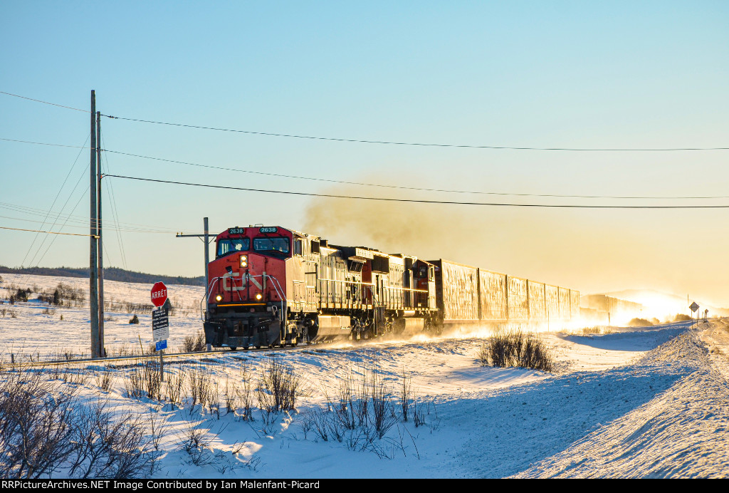 Rails of Gold